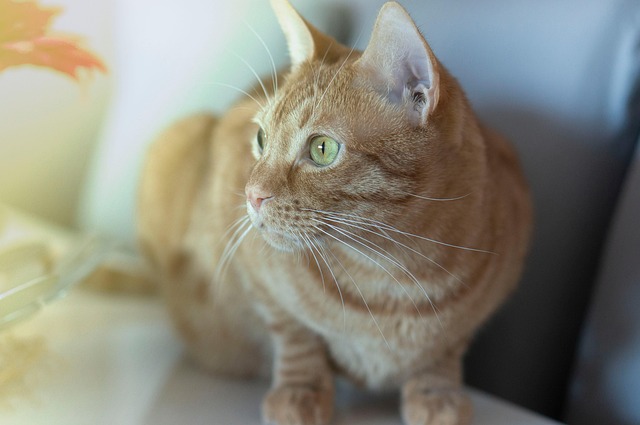 Diakite Slizzy tweet media