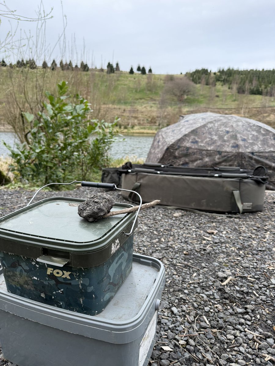 Dannylad tweet media