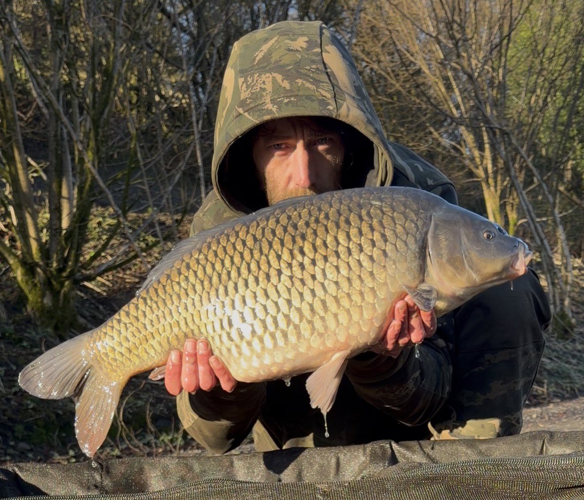 Dannylad tweet media