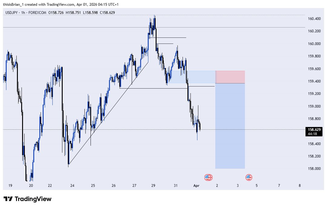๐ญ๐๐๐๐๐ tweet media