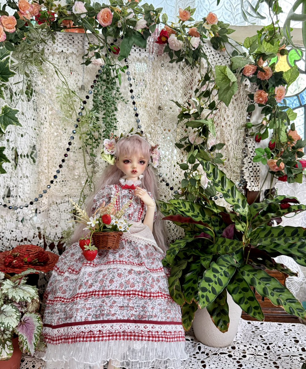 フロゥ tweet media