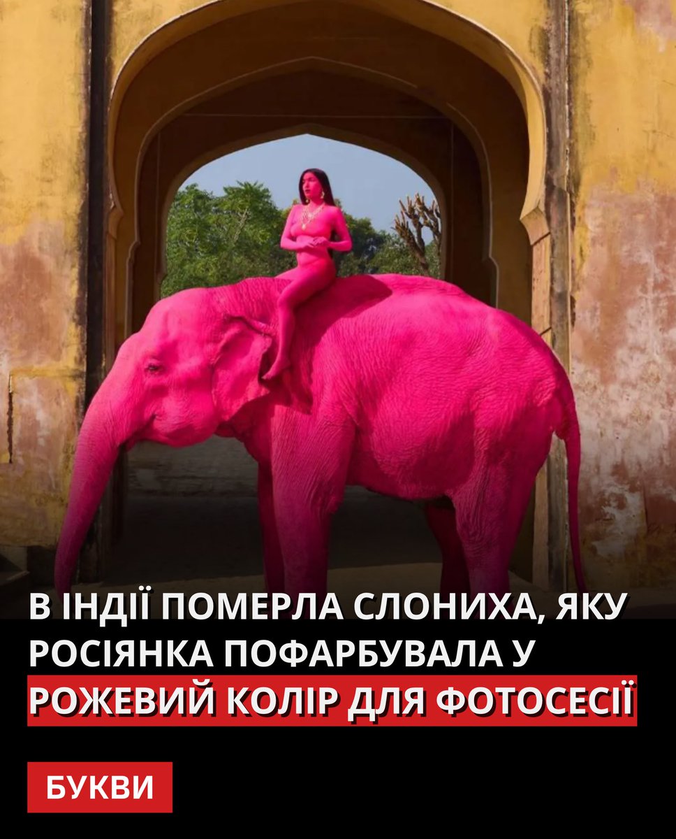 Букви tweet media