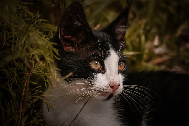 Debbie Brock tweet media