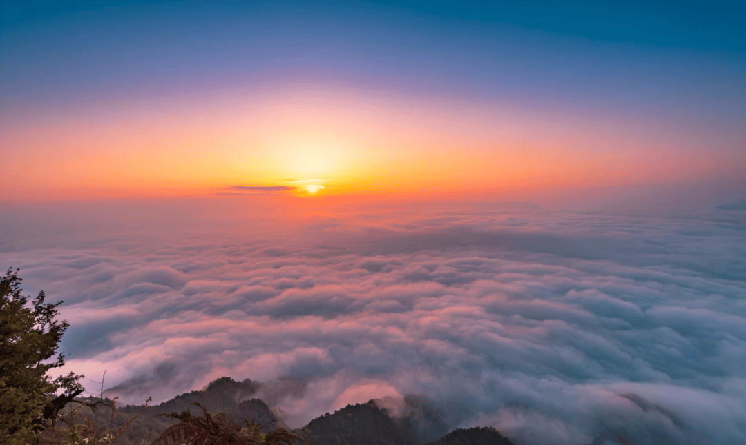 AguaBerkey tweet media