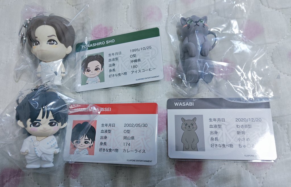 ひろ🎤👑🐻‍❄️🩵🤍🩶 tweet media