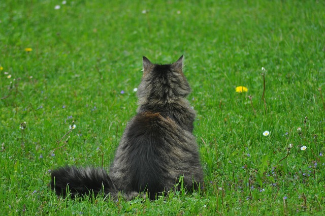 Jamahl Wash tweet media