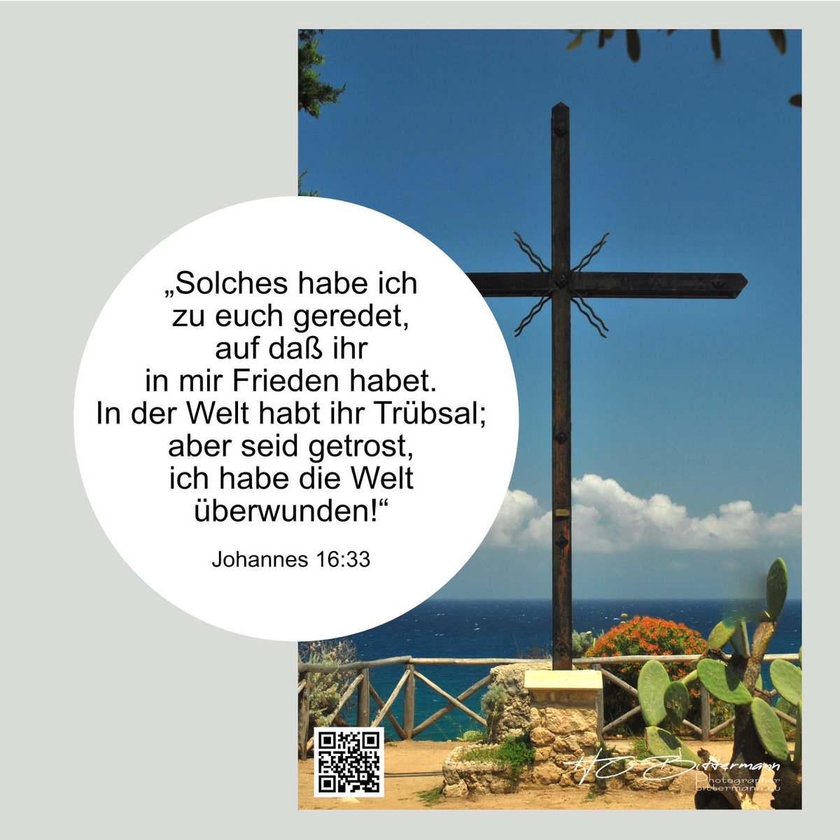 HC Bittermann 🕊️ tweet media