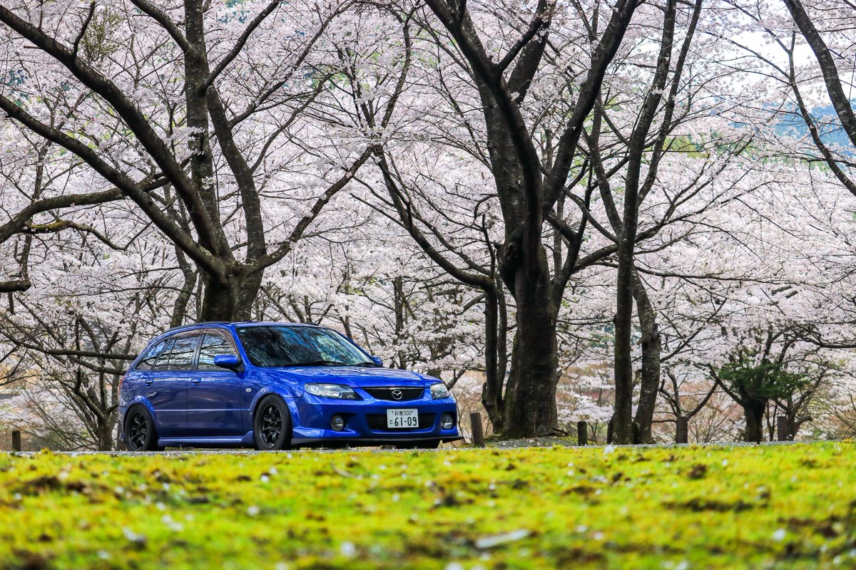 さいてー tweet media