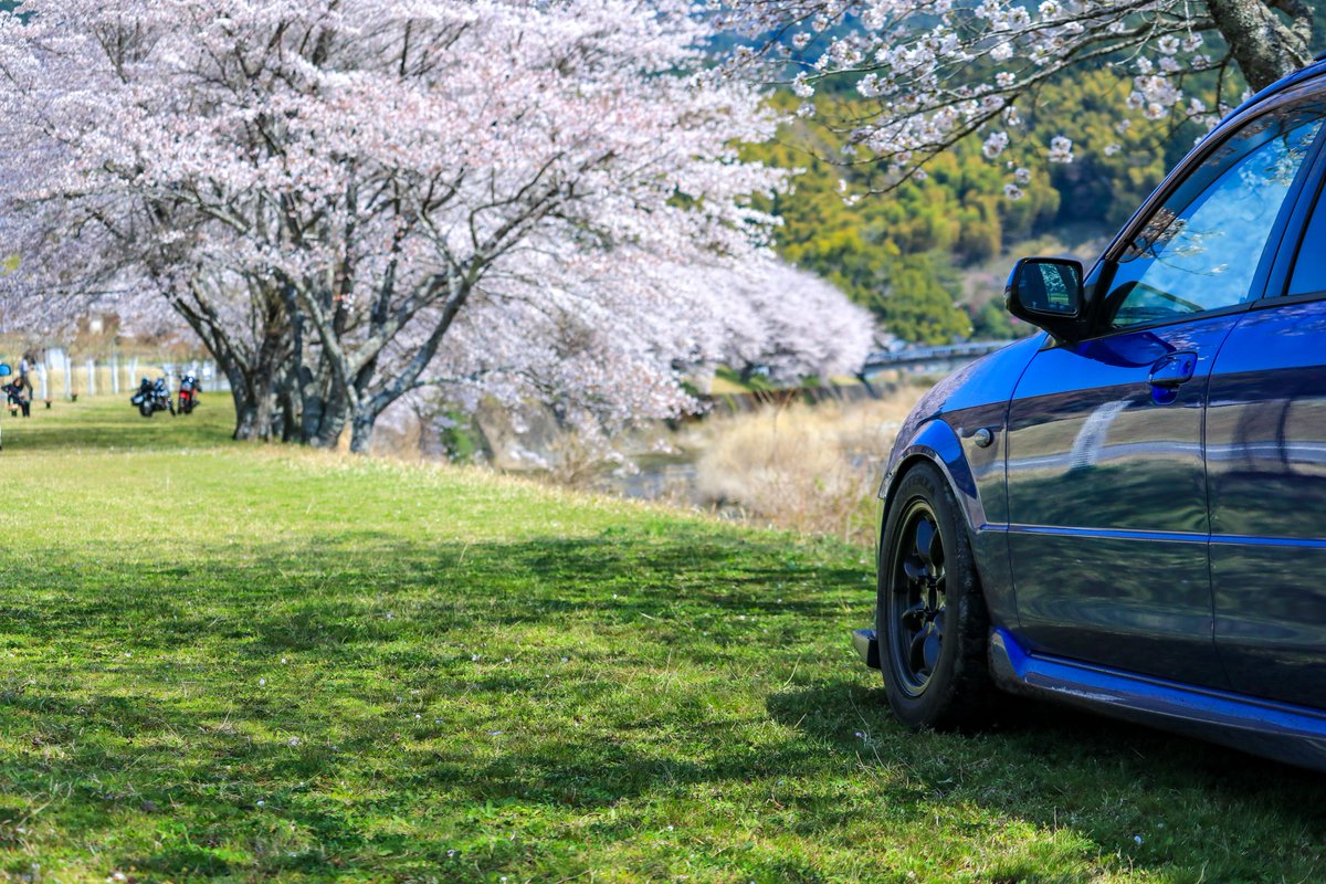 さいてー tweet media