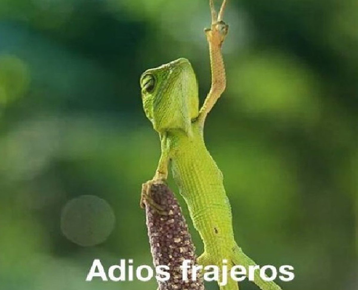 Natalia Drzazga tweet media