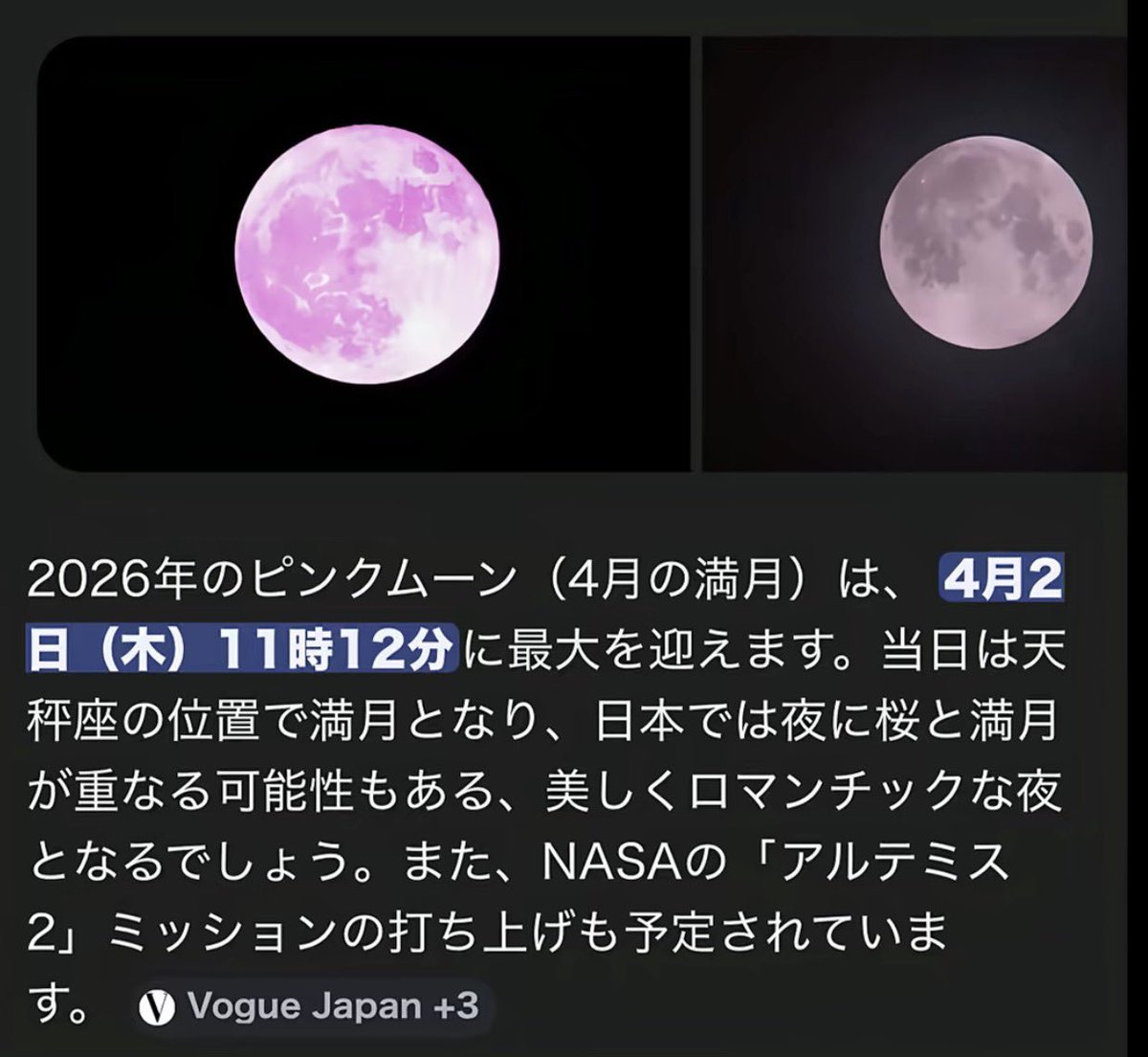 ポンデライオンシン,,Ծ‸Ծ,,💐💘4月で一旦休憩 tweet media