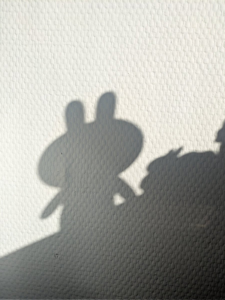 夏小雪（Yuki） tweet media