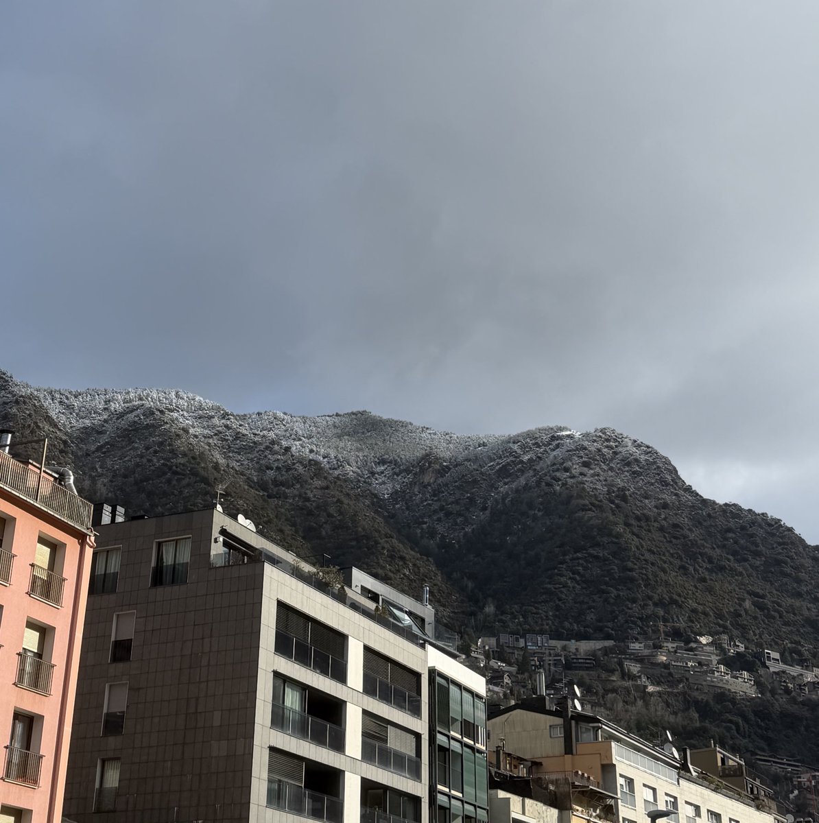 joan carles tweet media