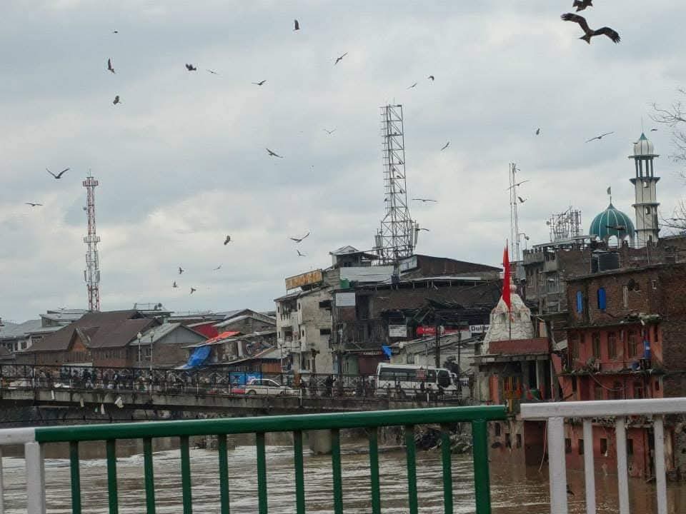 nirupama kotru tweet media