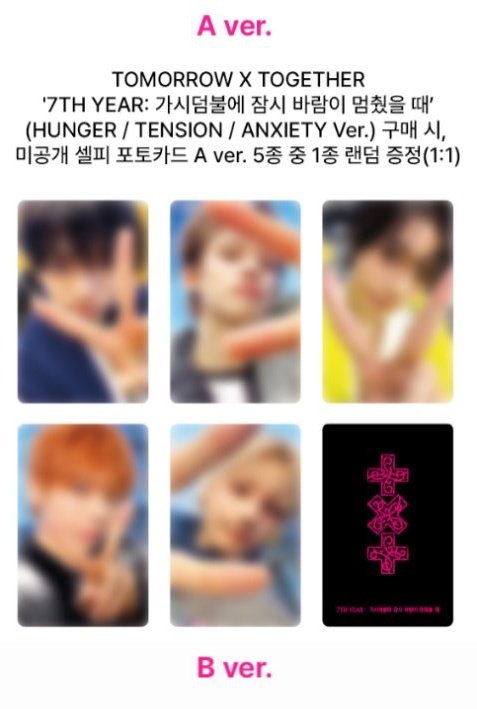 🌸さくら🌸固定プロフ欄必読※ tweet media