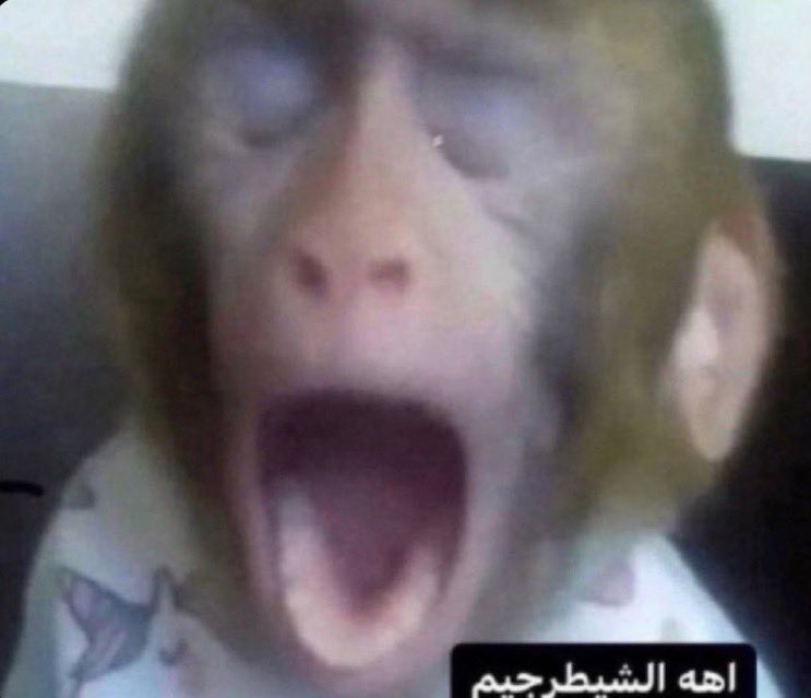 غررر tweet media