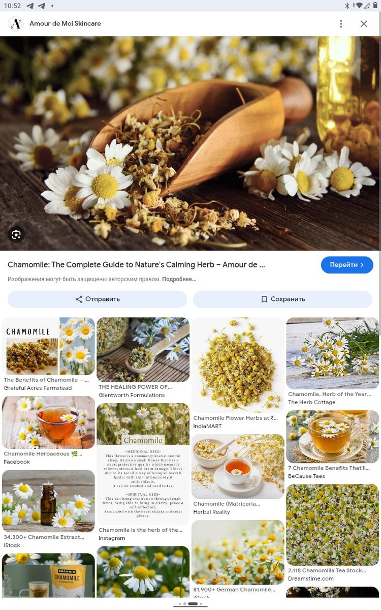 Wild Thing 🐾🎶❤️‍🔥🎶🐾 tweet media