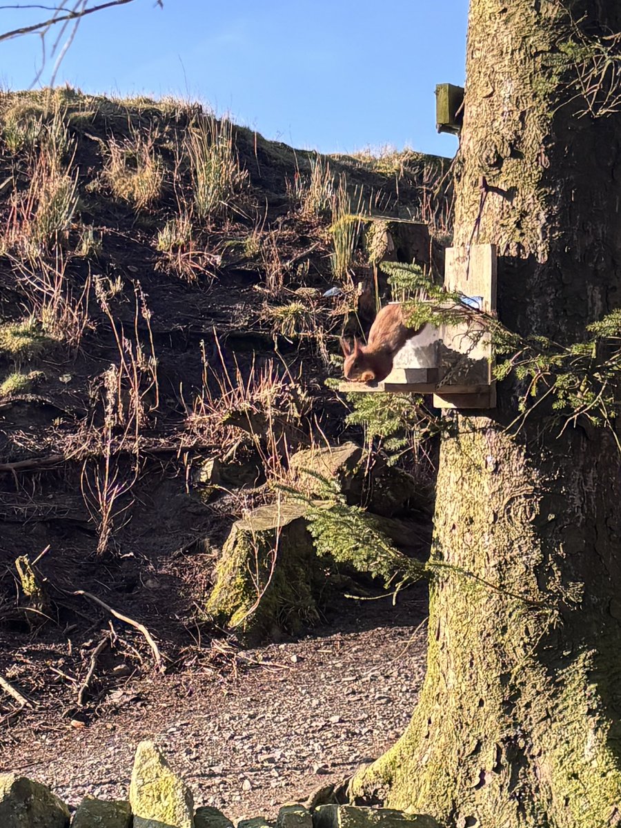 Killhope Museum tweet media