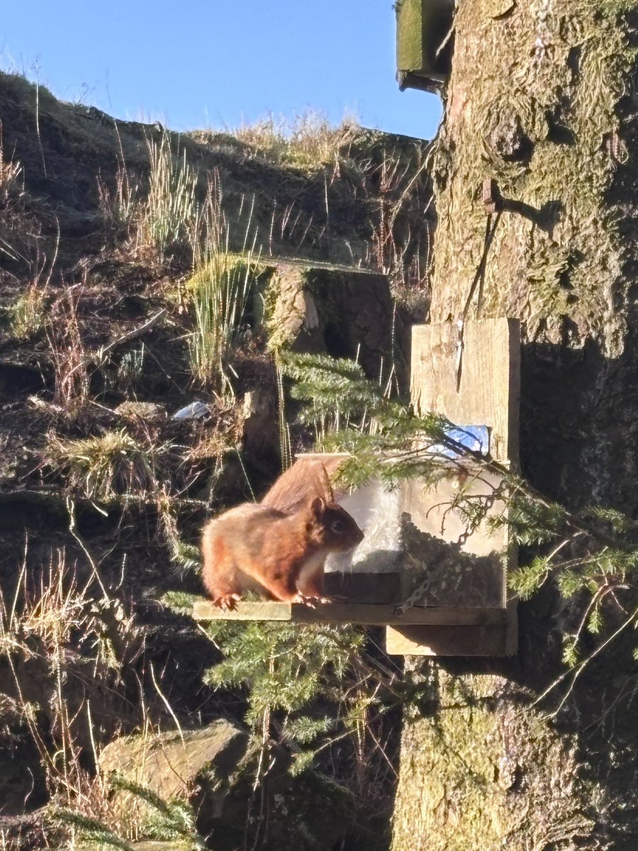 Killhope Museum tweet media