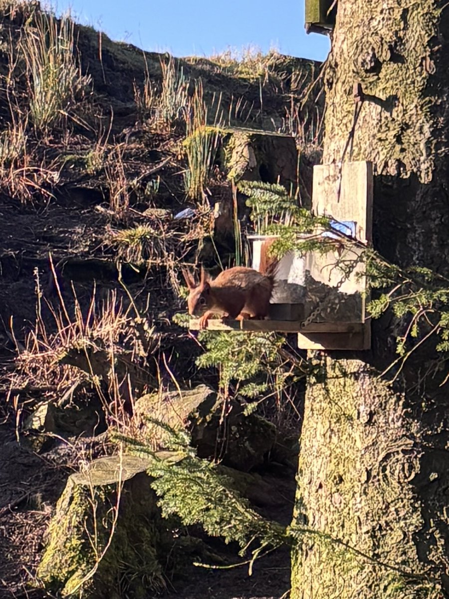 Killhope Museum tweet media