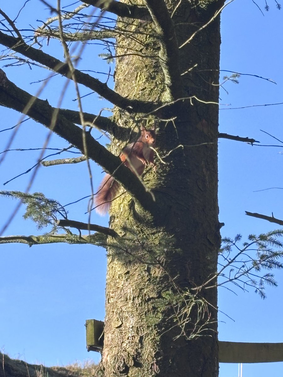 Killhope Museum tweet media