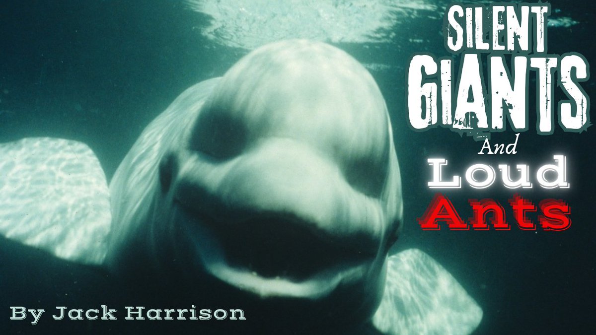 Duchess of Darkness tweet media