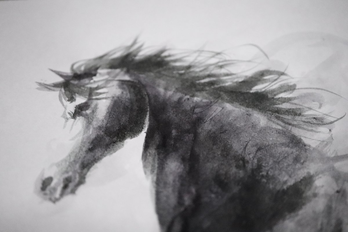 ★ぼやきぃぬ☆ tweet media