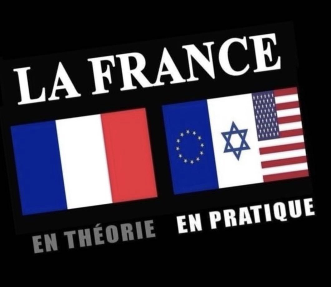 French Kelly tweet media