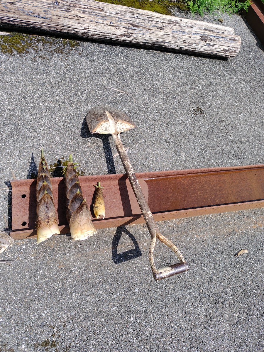 アマラオG丁 tweet media