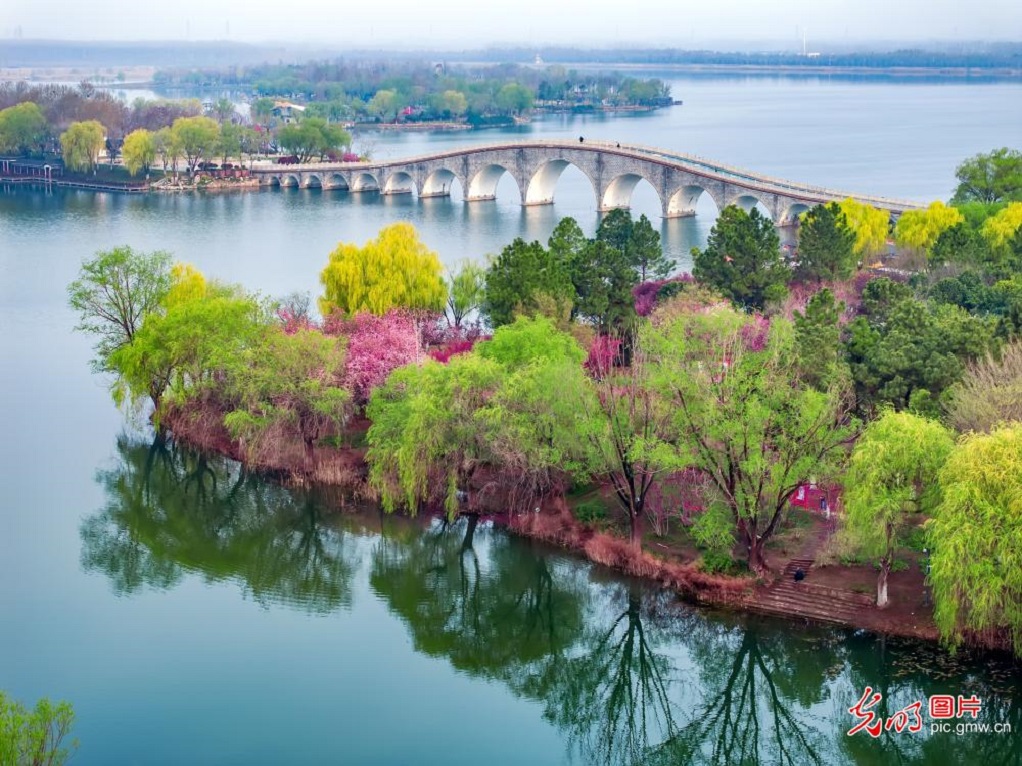 Guangming Daily tweet media