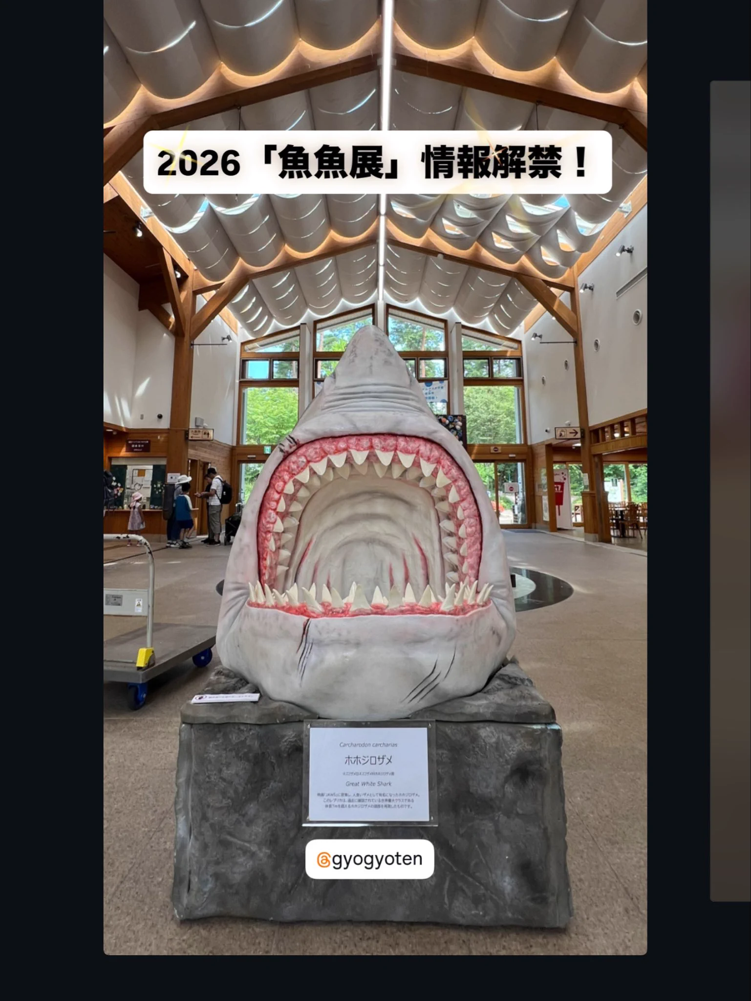 オガワアートコレクション（小川貴光）魚類剥製作家。「魚魚展」「魚人