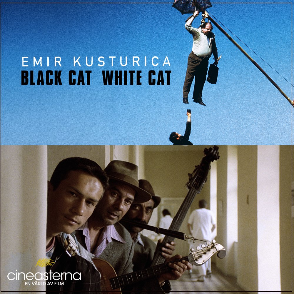 cineasterna's tweet image. Bland rangliga husbåtar och brassband låter Emir Kusturica kaoset breda ut sig i en burlesk och livfull berättelse där romantik och trotsig livsglädje bryter igenom allt stoj. Svart katt, vit katt (1998) Nu på Cineasterna
#Bibliotek #Filmtips #Cineasterna