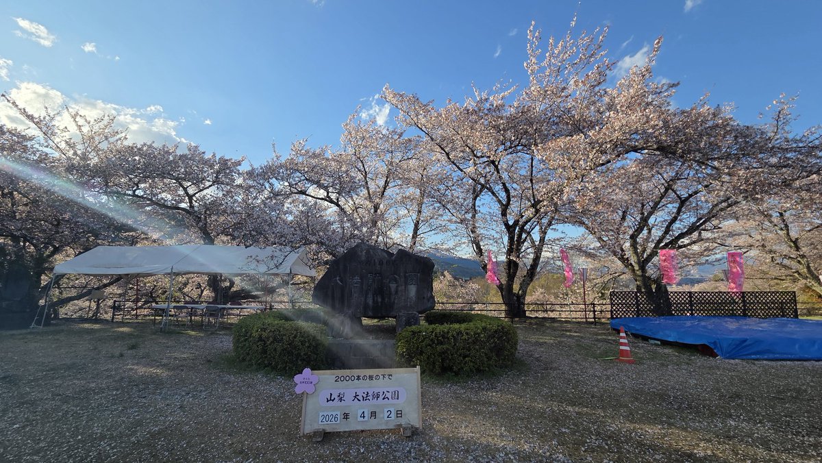 さえぴ～ tweet media