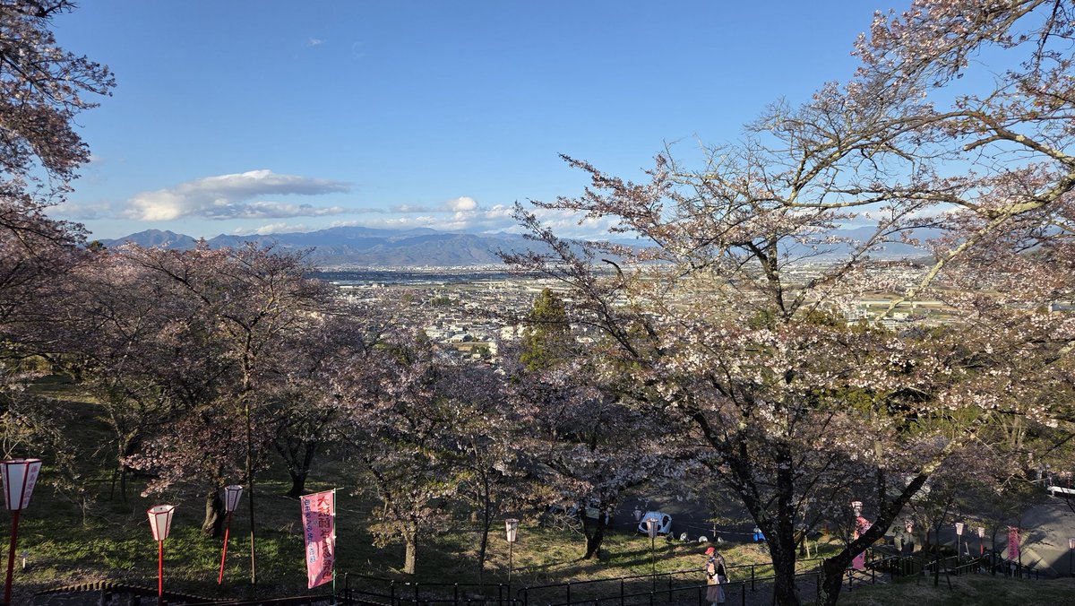 さえぴ～ tweet media