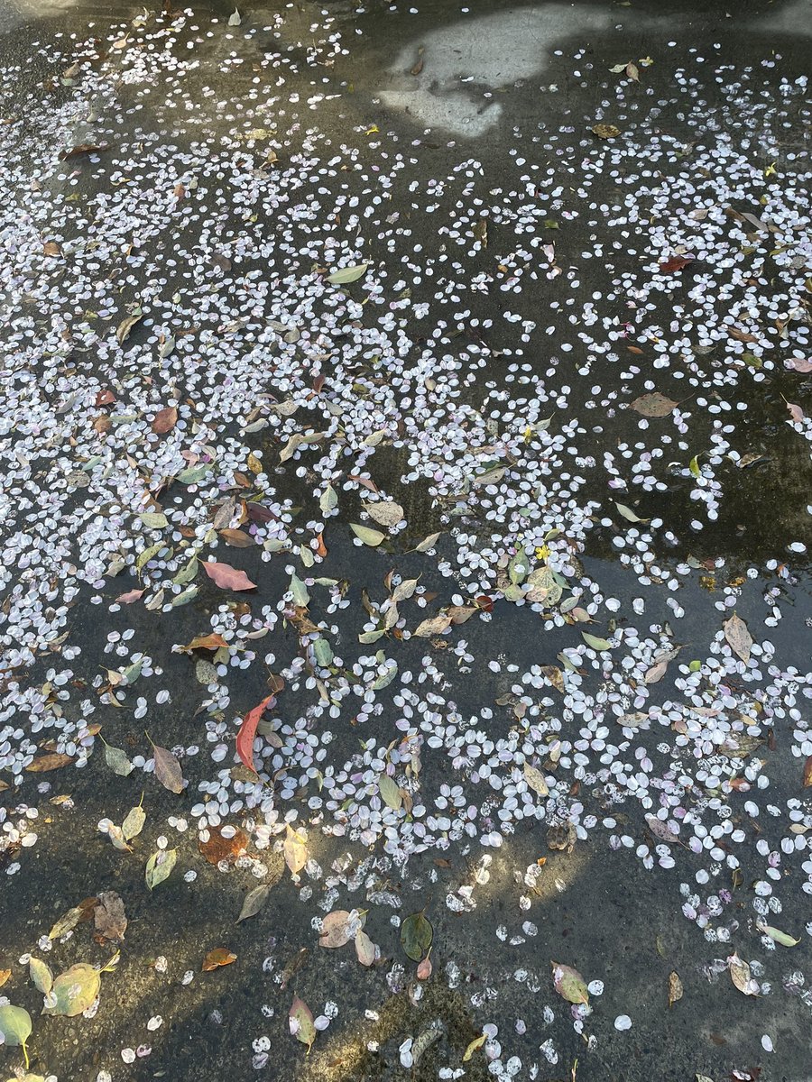 松永 希 matsumaganozomi tweet media