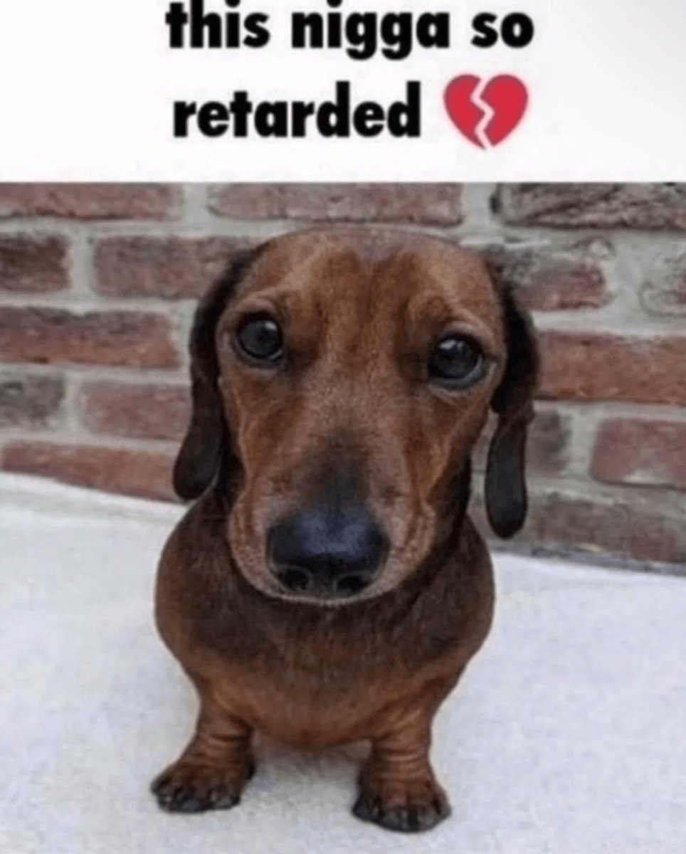 Lazaruk Karima tweet media