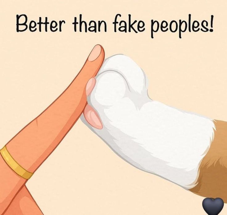 The pets only 🐾 tweet media