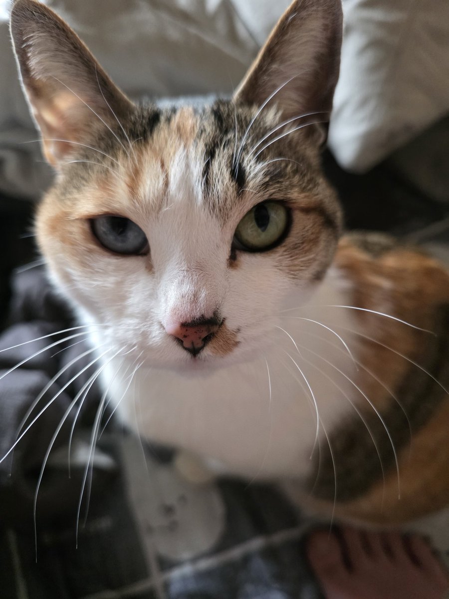 용호쓰152센디 tweet media