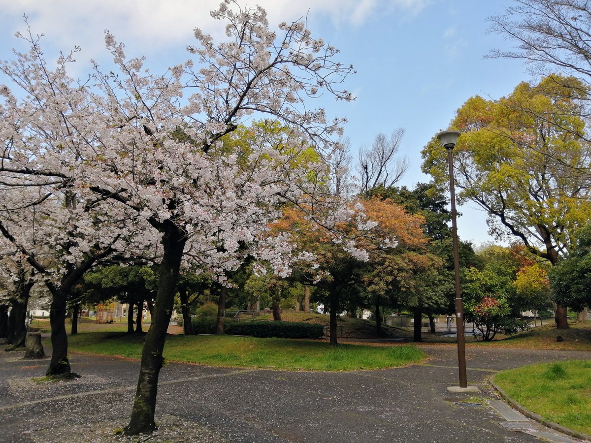 はうきゃすママ tweet media