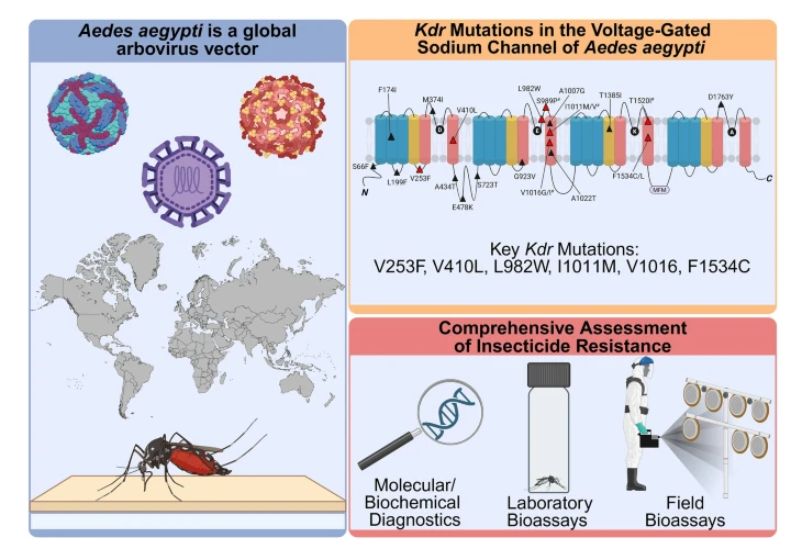 Biogents tweet media