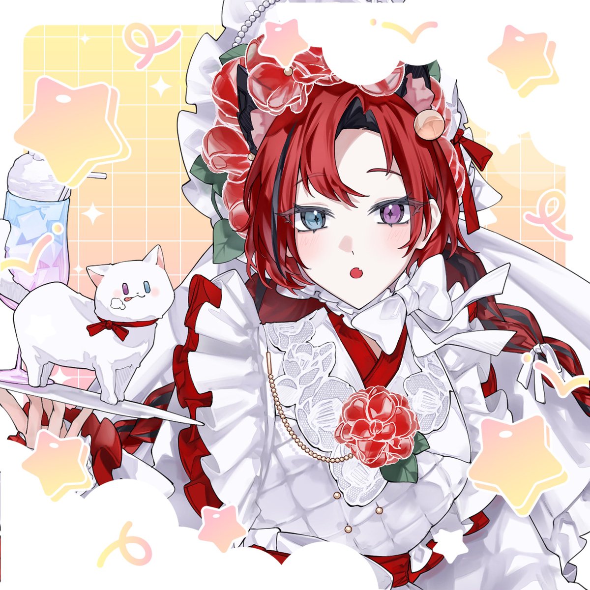 猫屋 椿🐈🖤🐾 tweet media