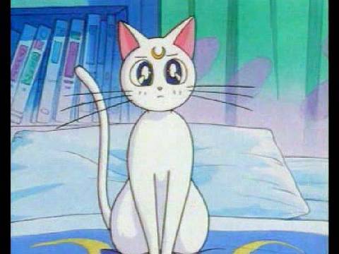 Not One Of Us tweet media