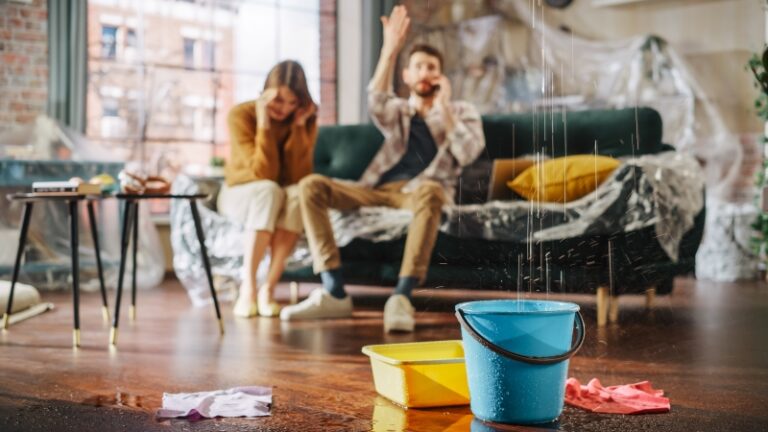 PB_mag's tweet image. New Companies House reforms designed to crack down on dodgy companies will not protect homeowners from rogue builders, the Federation of Master Builders (FMB) has warned.

Find out more here - bit.ly/4djKdsh 

#builders #homeowners #trades