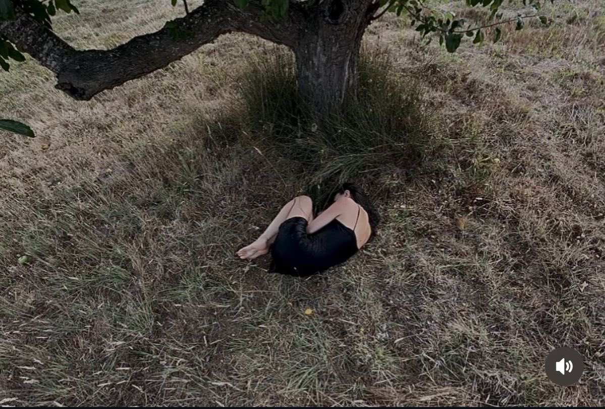 Lett🪾 tweet media