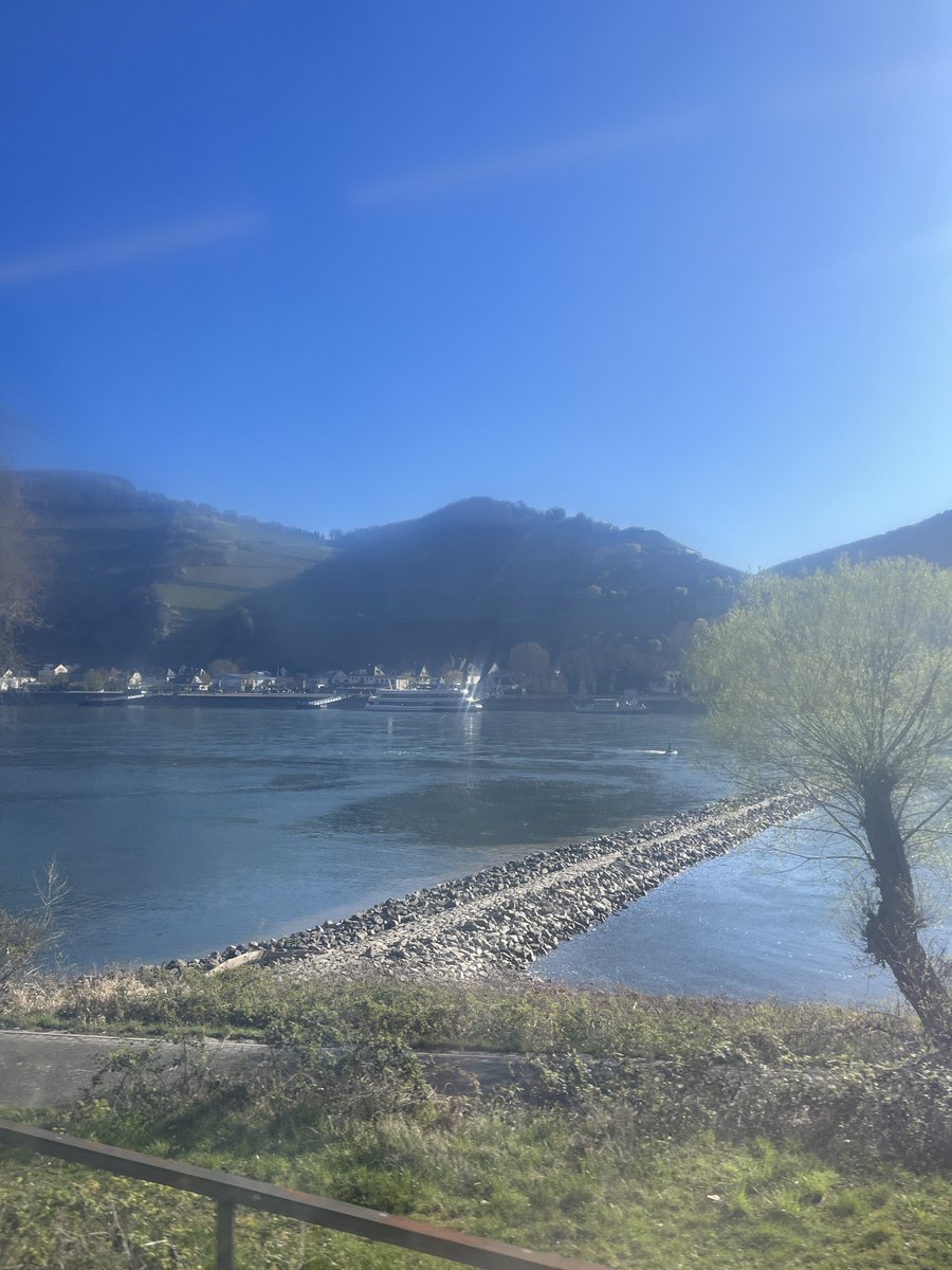 ミクラ tweet media