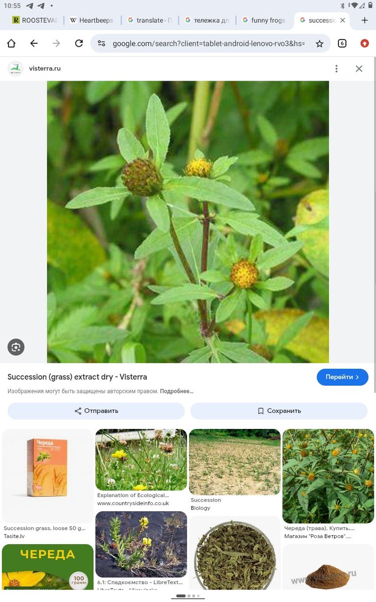 Wild Thing 🐾🎶❤️‍🔥🎶🐾 tweet media