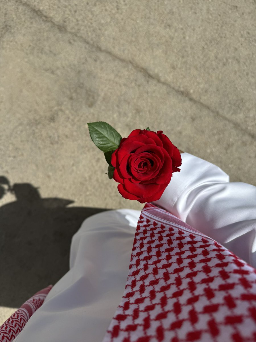 سعُود الشمري tweet media