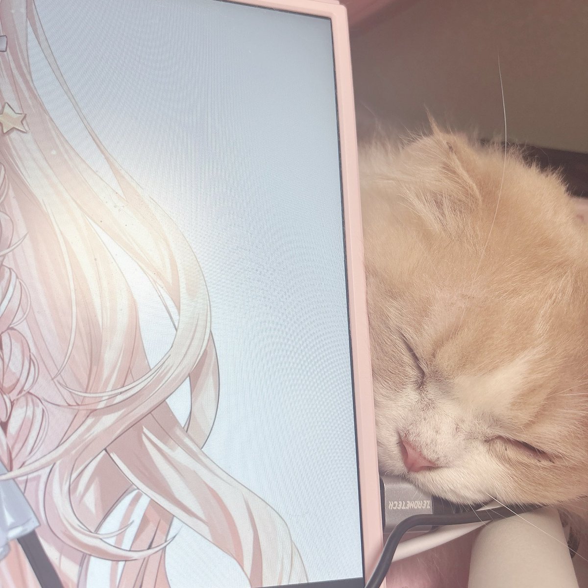 五十嵐梨花⚾️🧡にじさんじ tweet media