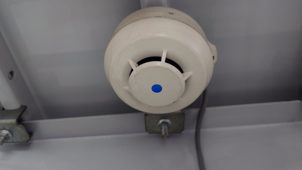 ikuza😈⚡ tweet media