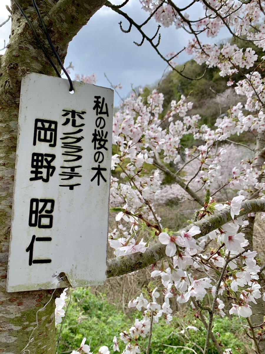 ∠ おかぽん🍊 tweet media